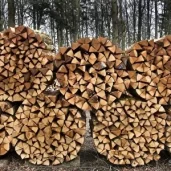 московские дрова изображение 5 на проекте schukino.su