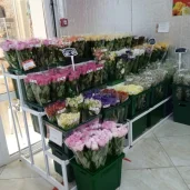 магазин цветов мосцветок на улице маршала бирюзова изображение 4 на проекте schukino.su