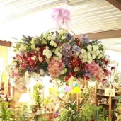 магазин цветов цветыш изображение 8 на проекте schukino.su