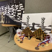 спортивный клуб два короля, детский шахматный клуб изображение 1 на проекте schukino.su